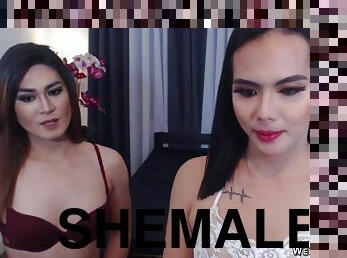 Shemale girlfriends making love on cam