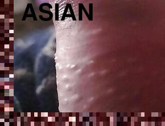 asien, papa, masturbieren, alt, im-freien, dilettant, anal-sex, blasen, immens-glied, junge