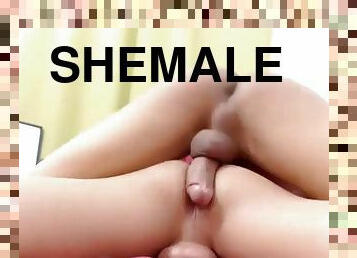 Exciting shemale and her lover whore