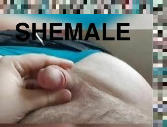 shemale, amatör, gay, avrunkning, ladyboy, kul, fetisch, pojkvän, förnedring, liten