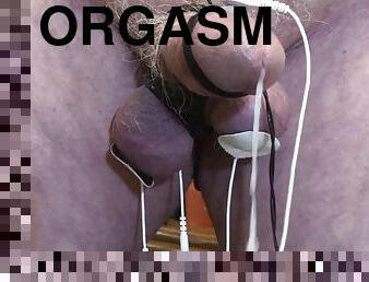 kæmpestor, onani, orgasme, amatør, udløsning, kæmpestor-pik, legetøj, bøsse, bdsm, sperm