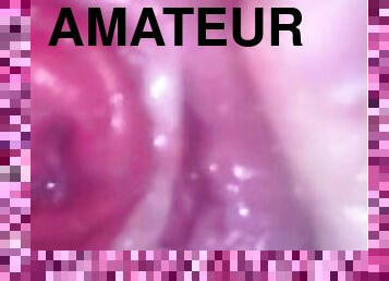 masturbation, amatör, anal, bbw, fetisch, ensam