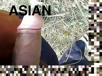 asiatisk, fed, anal, legetøj, bøsse, massage, kompilering, gruppesex, store-sorte-skønheder, ung-18