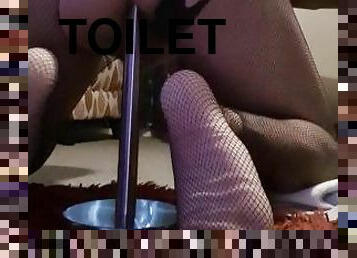 onani, amatør, anal, toilet, fetish, solo, indsættelse