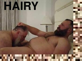 papá, peluda, amateur, mamada, gay, regordeta-chubby, papi, musculada, oso, chupando