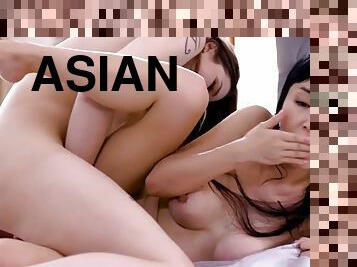 asiatiche, vulve-pelose, fichette, lui-lei, ragazze-giovani, pompini, lesbiche, giocattoli, trans, baci