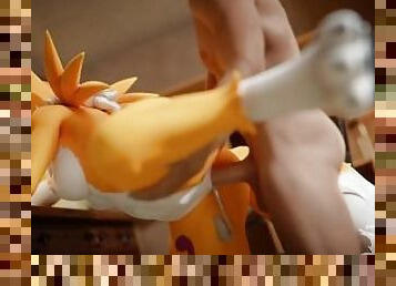 Renamon Being Mastered Leg up Standing Doggystyle Animation