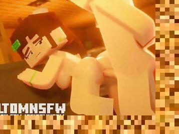 Minecraft Porn Animation Compilation