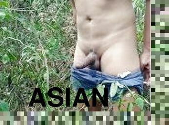 asiatique, papa, en-plein-air, gay, sale, horny, pappounet