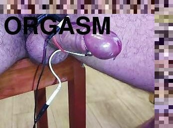 masturbation, orgasm, fitta-pussy, amatör, leksak, samling, creampie, bdsm, fetisch, ensam